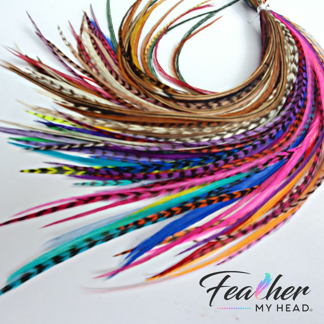 Premium Salon Starter Pack - Very Long Feathers - Multi Color - Natural and  Bright